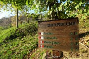 71 Al Colle di Monte Albano